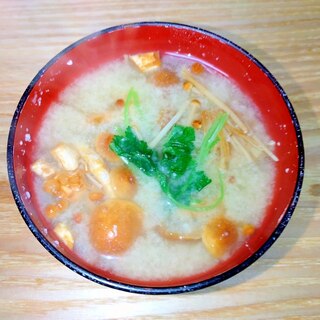 毎日のお味噌汁333杯目＊なめこ粕汁